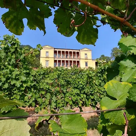 Ferienhaus Rauwolf Roschbach Exterior foto
